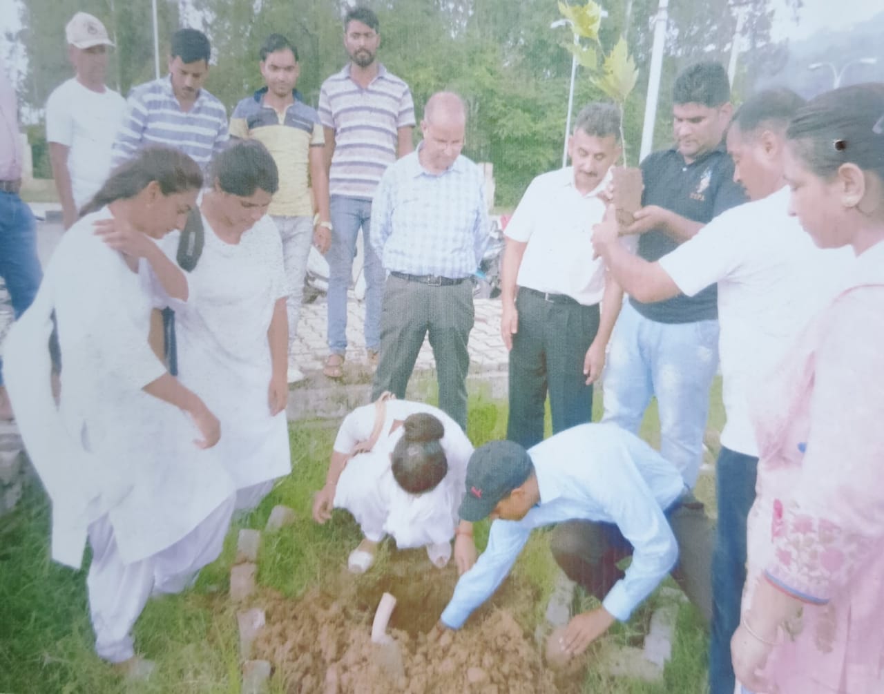'Plantation Drive in the college'